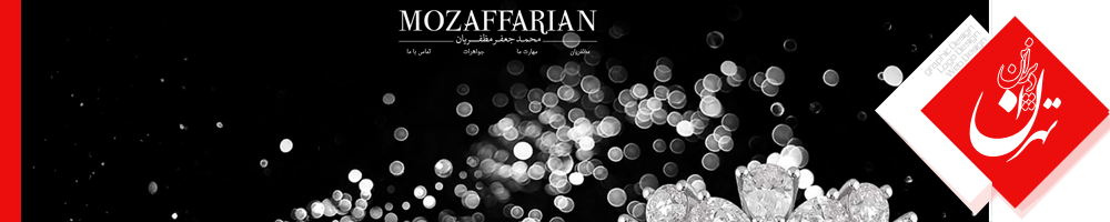 طراحی سایت Tehd تهران دیزاین